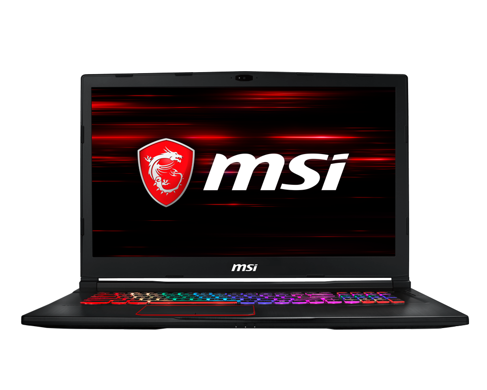 MSI GE73 Raider rgb 8re